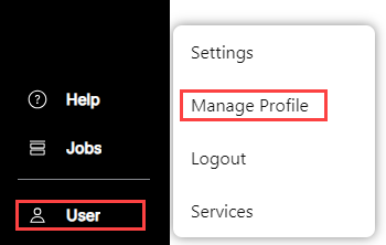 Language selection