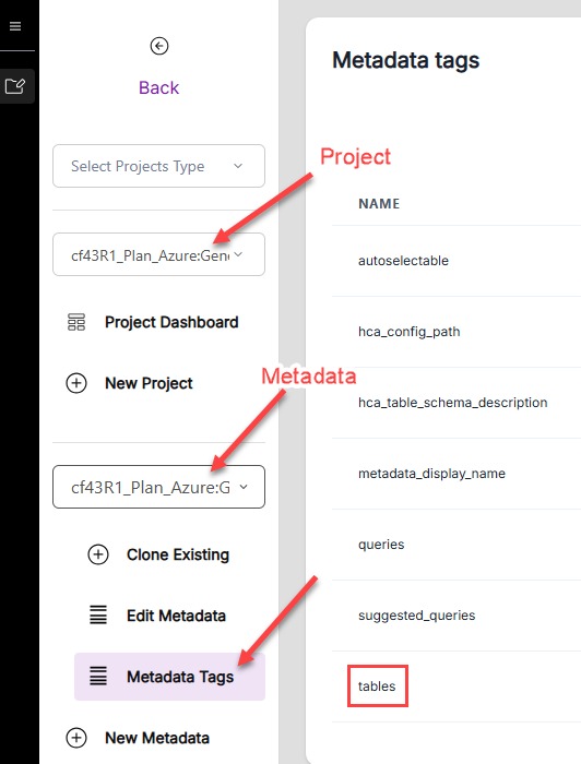 disambiguation-metadata-tags